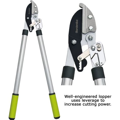 The 5 Best Manual Pole Pruners Dengarden