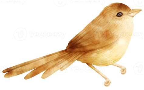 Watercolor Bird Illustration 9373170 Png