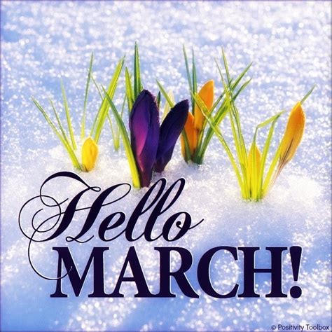 143 Best Marchmy Birthday Month Images On Pinterest