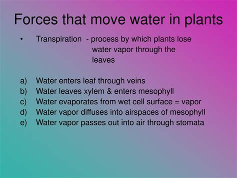 Ppt Water Movement In Plants Powerpoint Presentation Free Download