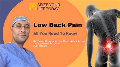 Low Back Pain All You Need To Know Dr Islam Elnagar Low Back Pain