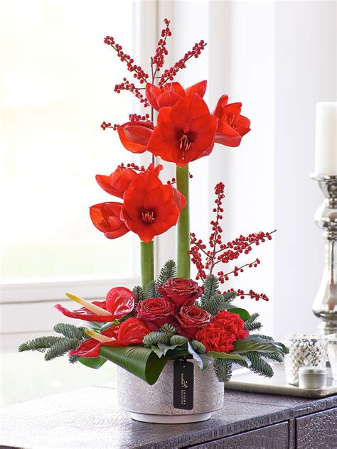 Luxury Festive Rose And Amaryllis Arrangement