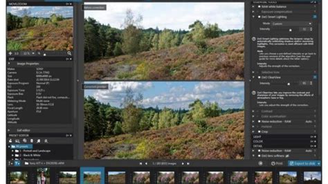 5 Mejores Programas Para Editar En Bruto Fotos Nikon En Windows 10