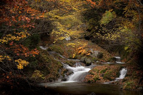 Waterfall River Autumn Free Photo On Pixabay Pixabay