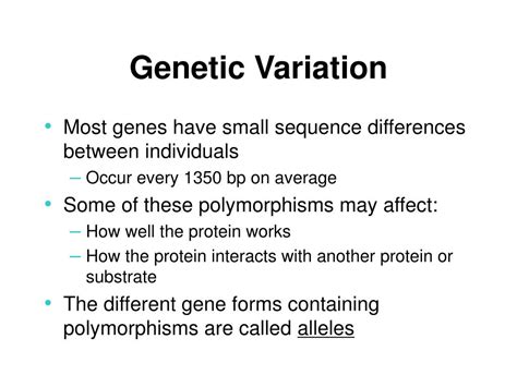 Ppt Genetic Variation Powerpoint Presentation Free Download Id826198