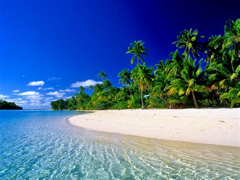You Should Know The Cook Islands Travelseelove