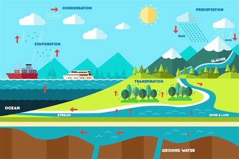 Different Stages And Importance Of The Water Cycle Conserve Energy Future