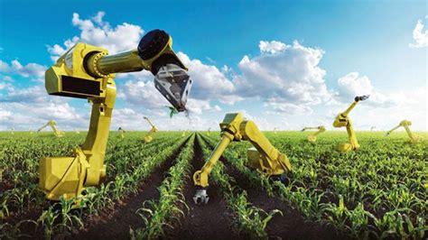 Farmer Robots May Ease The Labor Crunch In Agriculture