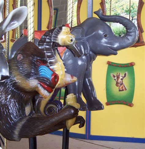 National Carousel Association Brookfield Zoo Carousel Carousel
