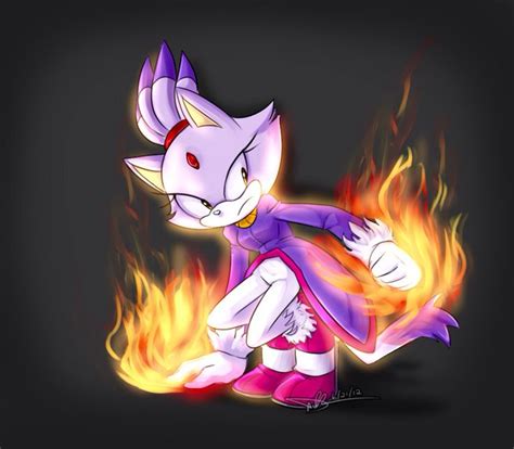 Blaze The Cat Sonic And Shadow Sonic Fan Art Sonic The Hedgehog Images