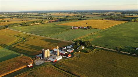 Aerial View Of Farm Red Barns Corn Field In September Harvest Season