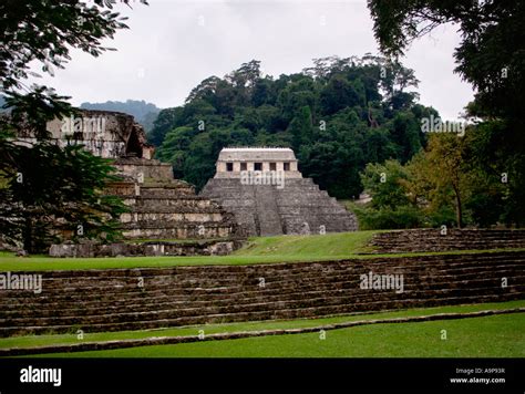 Palenque Temple Of The Inscriptions Mayan Archaeological Ruin Site