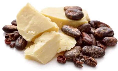 Manteiga De Cacau Como é Feita E 10 Utilidades Incríveis Para O Dia A Dia