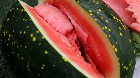 Watermelon Harvest Big Moon And Stars Klondike Striped Blue Ribbon