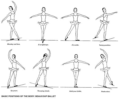 Ballet Explained Positions Of The Arms And Body Movita Beaucoup