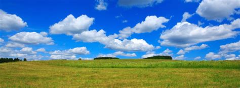 Field With Green Grass And Blue Sky With Clouds Stock Photo Image Of