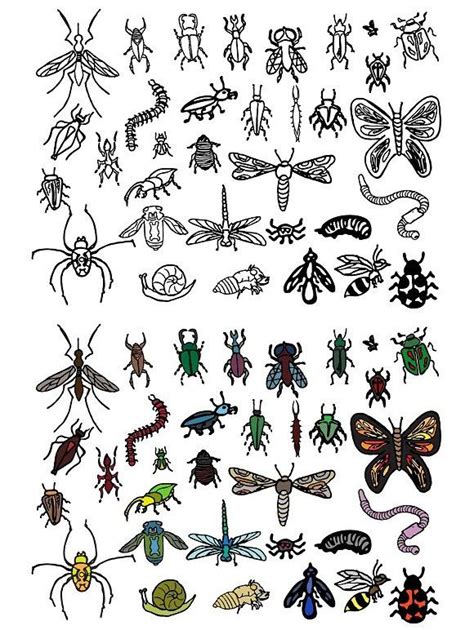 33 Hand Drawn Vector Bug Doodles Bugs Drawing Doodle Drawings Diy