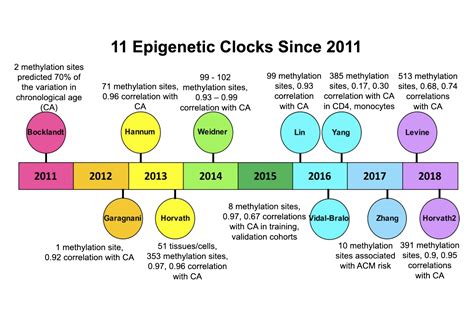 Longevitytechfund Blog Evolution Of Epigenetic Aging Clocks Past