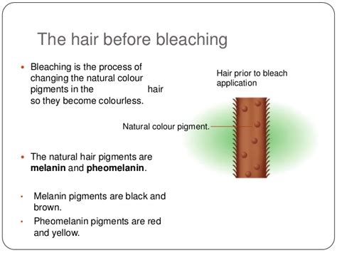 Bleaching hair removes of the color by decolorizing the pigment in the hair shaft through oxidation. The effects of different colouring products on the