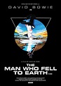 El hombre que cayó a la Tierra [1976] [MEGA] [Criterion Collection]
