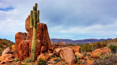 Arizona Desert Scenes Wallpaper Wallpapersafari