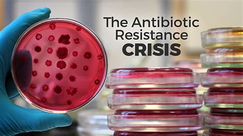 video the antibiotic resistance crisis exploring ethics uctv university of california