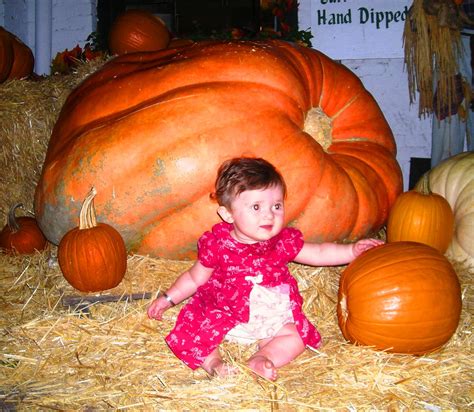 Our Little Pumpkin Our Little Pumpkin Christy Hulsey Flickr