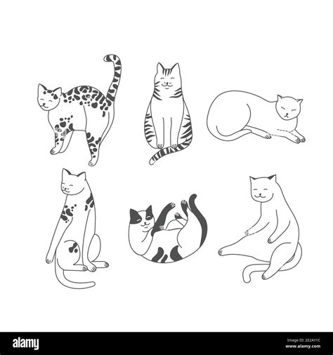 Vector Linear Illustration Set Of Adorable Catsn In Different Poses