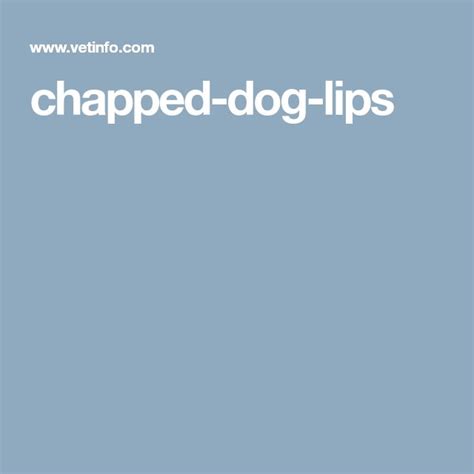 Chapped Dog Lips Lips Chaps Dogs