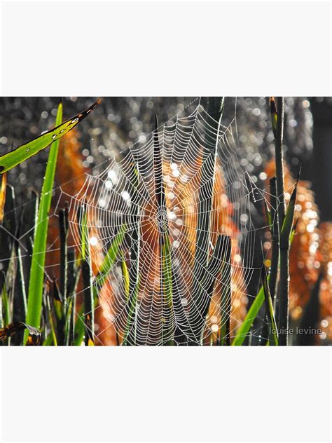 Hanging Web Poster By Lou68 Redbubble
