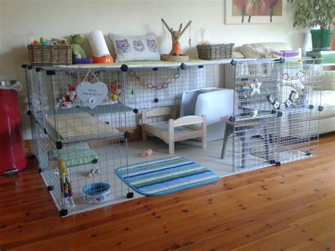 Modern Indoor Rabbit Hutch