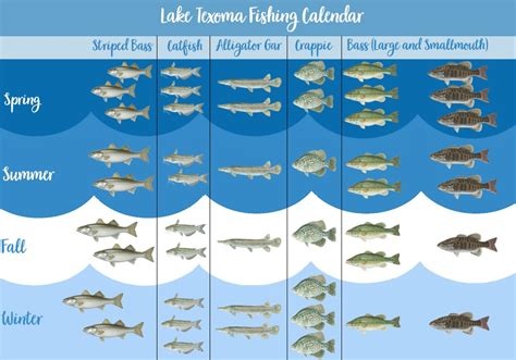 Fishing Lake Texoma A Complete Guide Gary Spivack