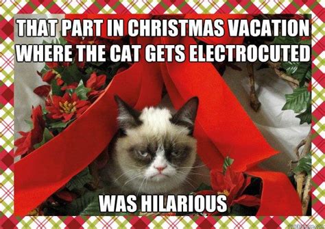 That Part In Christmas Vacation Where The Cat Gets Electrocuted Was