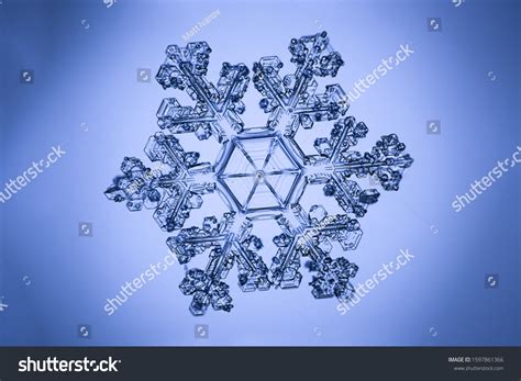 Real Snowflake Microscope Shot Stock Photo 1597861366 Shutterstock