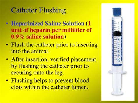 Ppt Catheters Powerpoint Presentation Free Download Id5708871