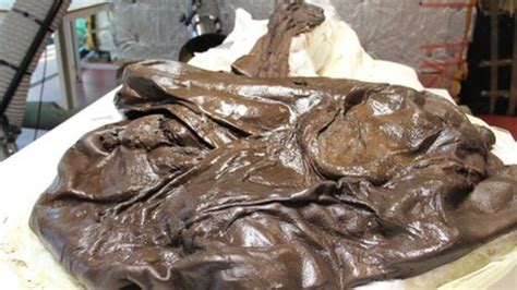 Worlds Oldest Bog Body Hints At Violent Past Bbc News