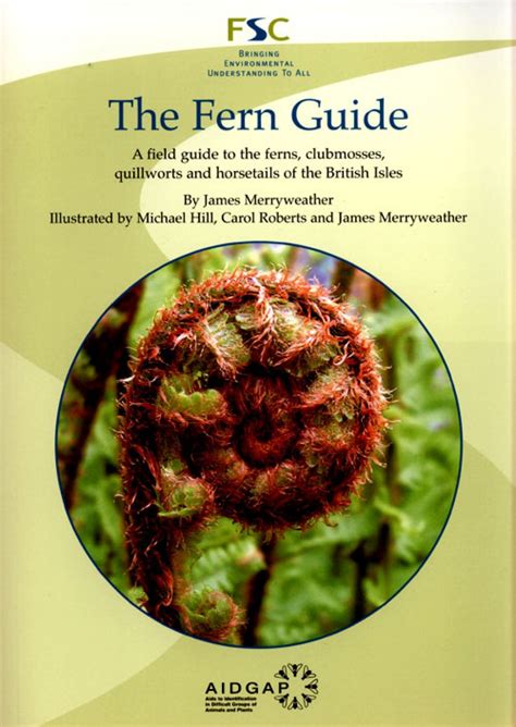 The new field guide to the ferns is even better than the first edition in that there are more ferns and. The Fern Guide: James Merryweather and Michael Hill: NHBS