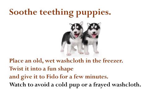 *this article may contain affiliate links. How to soothe a teething puppy... DIY | Puppy teething ...