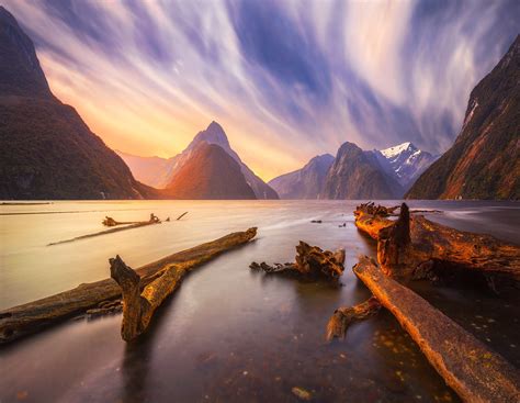 Landscape Nature New Zealand Dead Trees Mountains Clouds River