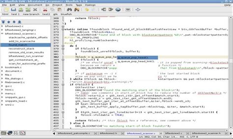 10 Best Programming Software For Writing Code Rankred