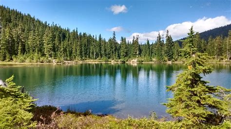 Poze Pădure Pustie Munte Luncă Zona Montană Reflecţie Rezervor