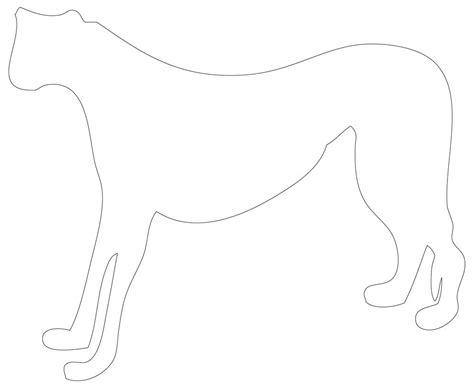 Cheetah Template Printable Cheetah Outline