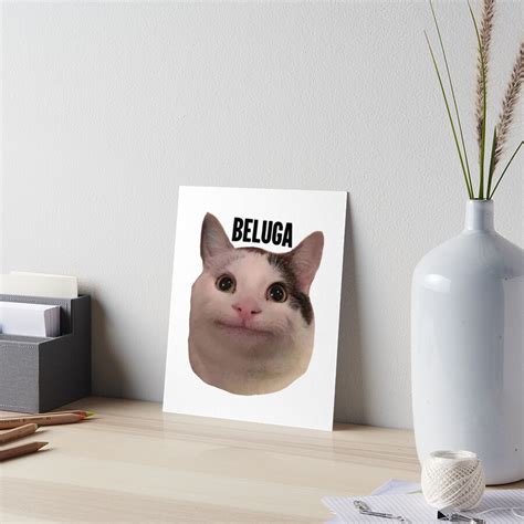 Beluga Cat Discord Pfp Art Board Print By Liamandlore Redbubble