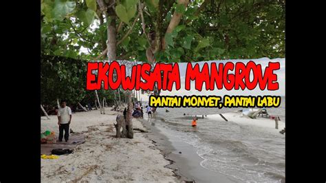 Ekowisata Mangrove Pantai Monyet Pantai Labu Deli Serdang Youtube