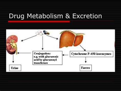 Ppt Physicochemical Properties Of Drugs In Relation To Drug Action
