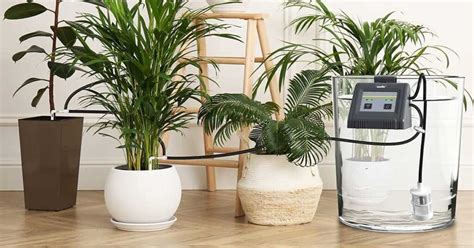 Best Automatic Watering System For Indoor Plants Updated Nerd