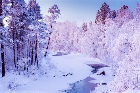 Flight Delayed Lets Take Beautiful Lapland Photos