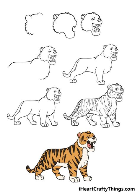 How To Draw A Cartoon Tiger Step By Step Rainforest Animals Images