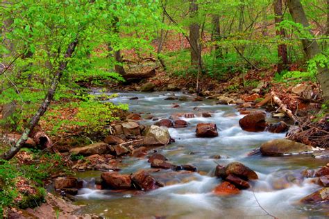 Mountain Stream Photograph Woodland Landscape By Aperturewerx