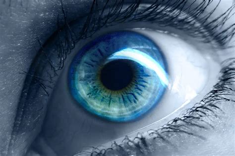 Blue Eyes Originated 10000 Years Ago In The Black Sea Region